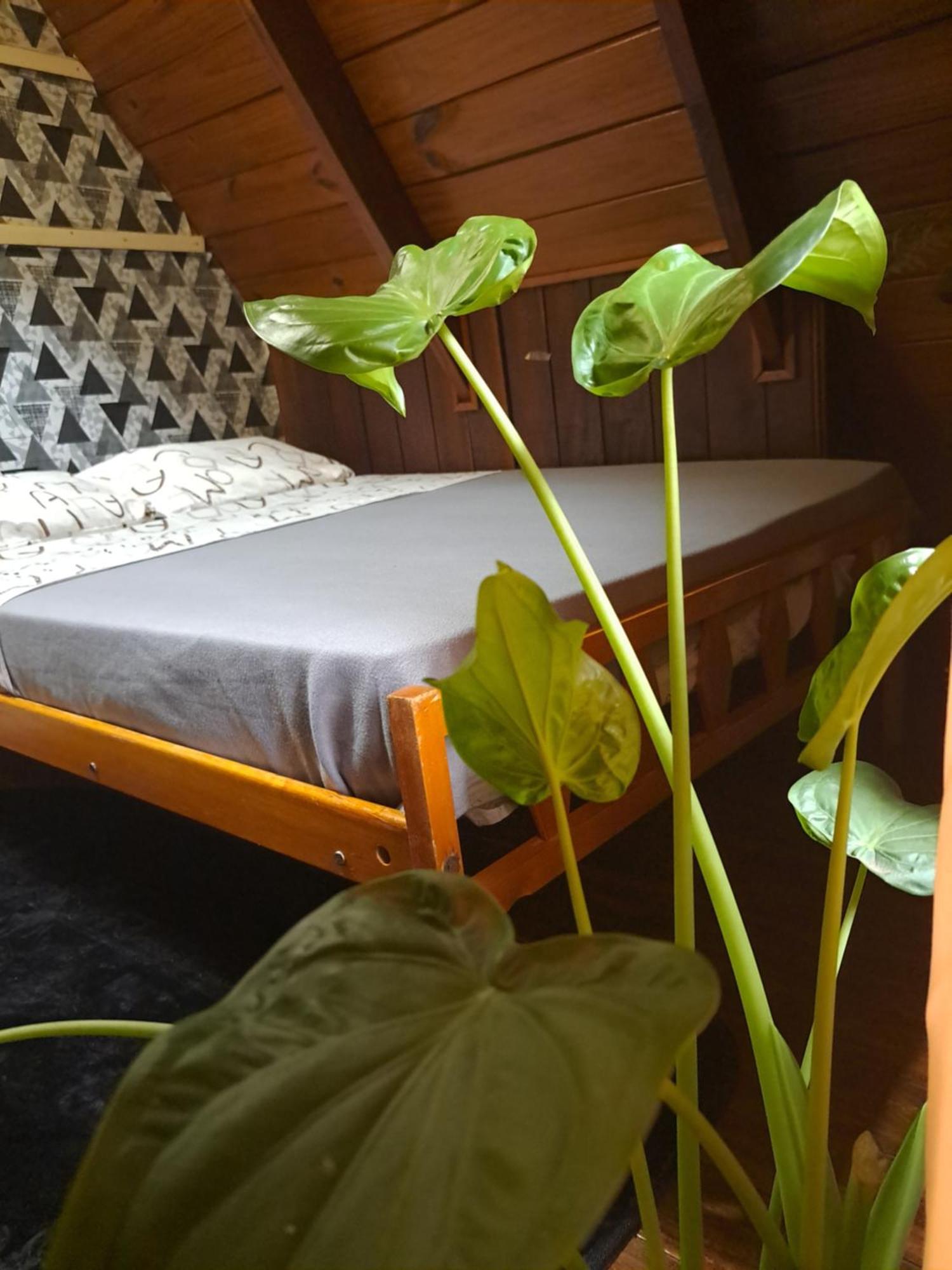 Bungalow Hostel Iguazu 푸에르토이과수 외부 사진
